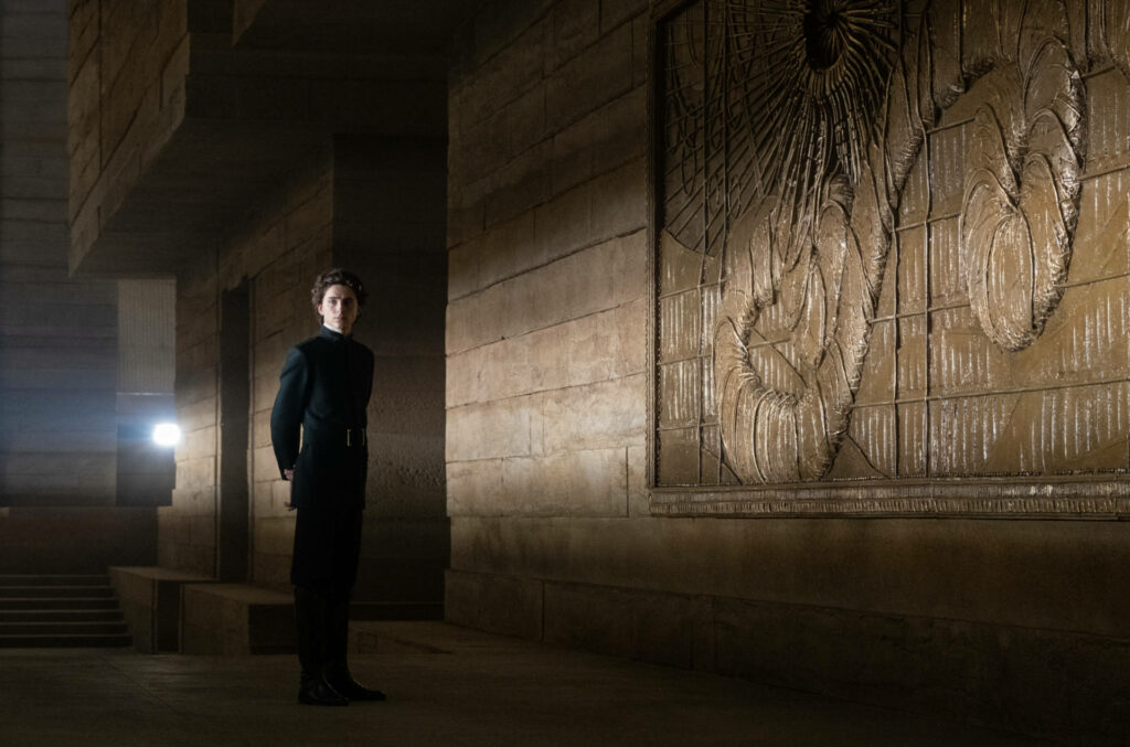 Timothée Chalamet beside grand stone wall with intricate engraved images dramatic wallpaper background