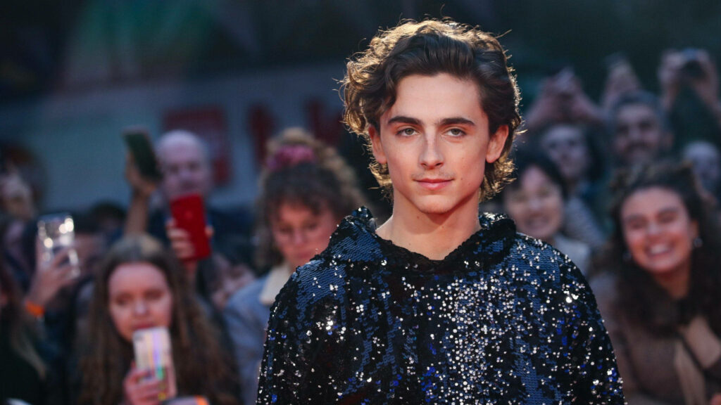 Timothée Chalamet in sequin outfit confidently posing at glamorous event with crowd background Wallpaper