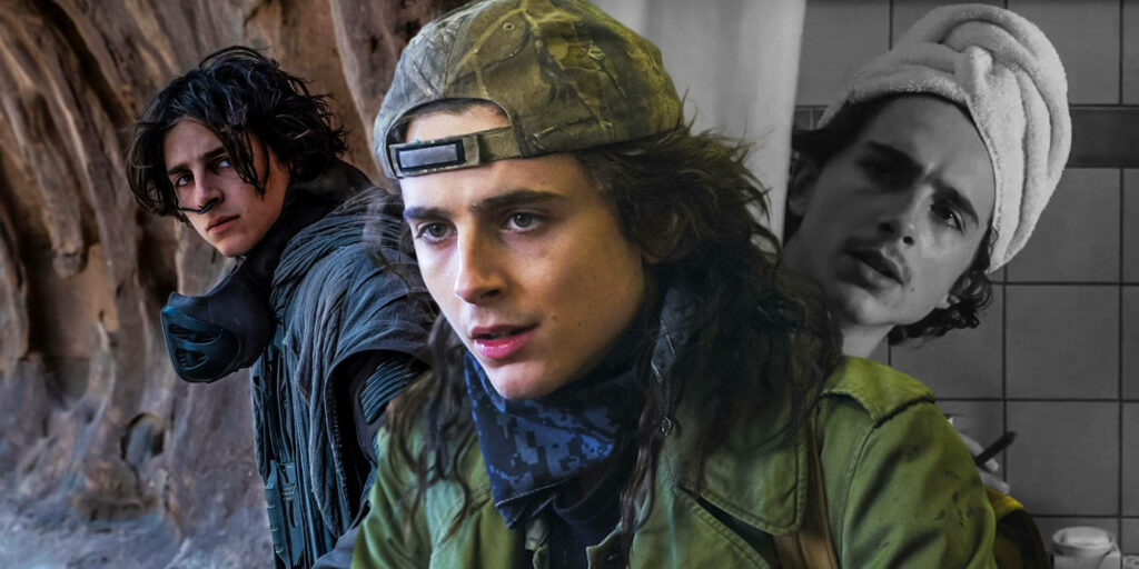 Timothée Chalamet Collage Wallpaper: Rugged & Casual Styles