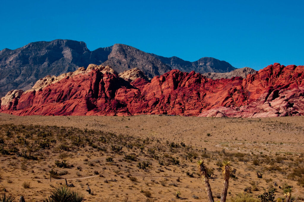 Rugged Beauty: Red Rock Canyon's Amazing Desert Landscape in Wallpaper