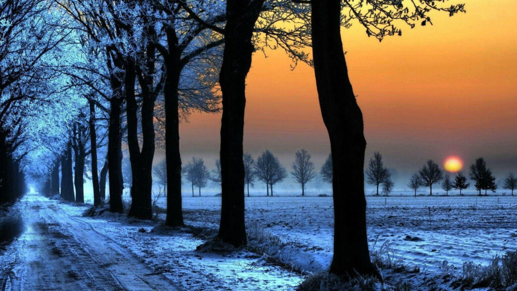Snowy Serenade: Full Screen Winter Streets HD Desktop Wallpaper
