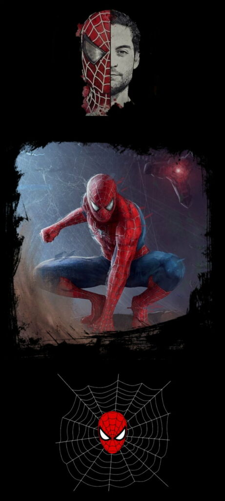 Tobey Maguire Spider-Man HD wallpaper, half-mask portrait, action pose, web background logo