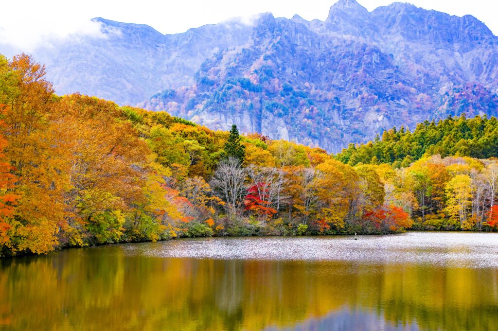 Togakushi Japan autumn wallpaper with lake reflection colorful trees and serene mountain landscape