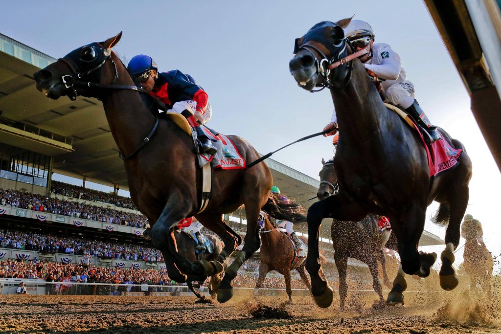 Tonalist and Commissioner racing at 2014 Belmont Stakes low angle dirt track intense action wallpaper
