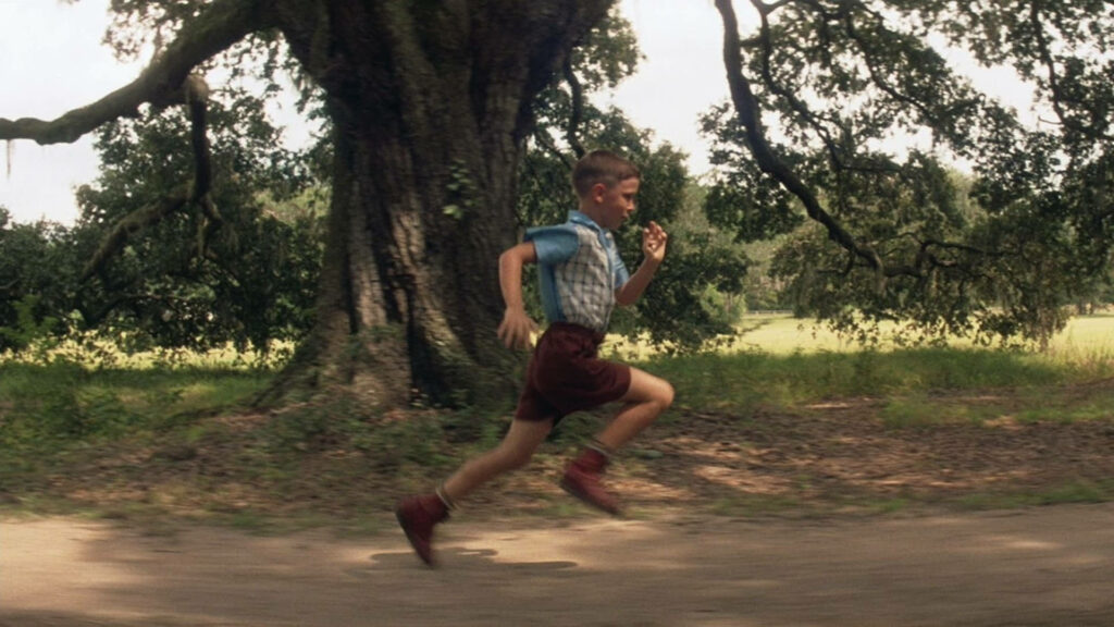 Touching Forrest Gump Wallpaper: Young Hero Running Under Sunlit Tree