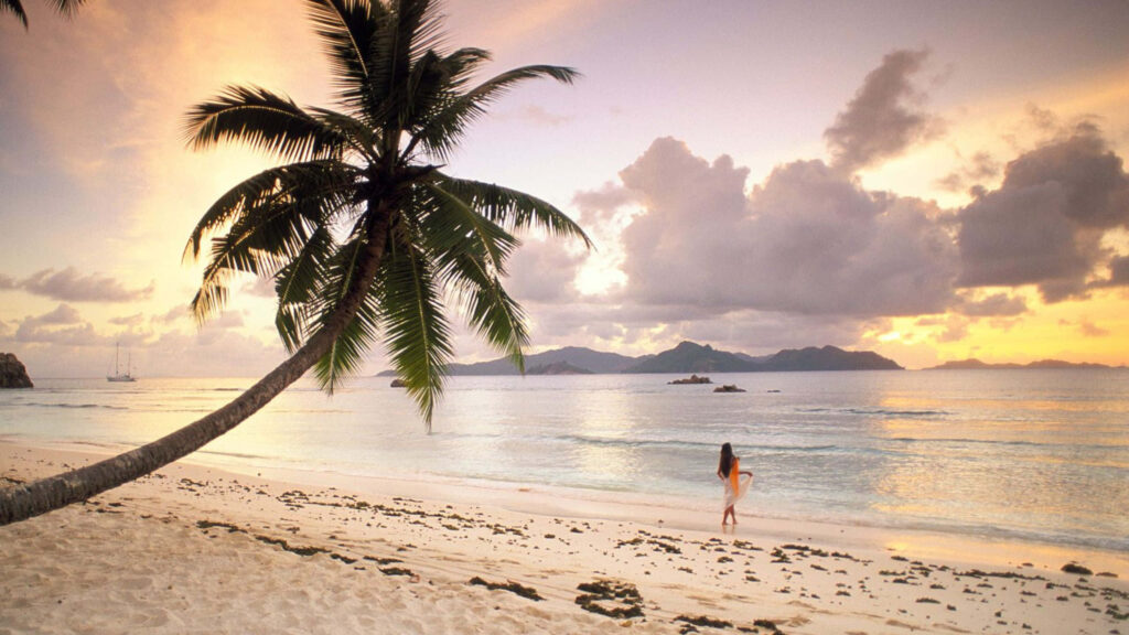 Tranquil Sunset Beach Wallpaper - Serene 1440p Ocean Scene