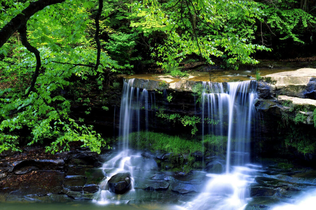 Tranquil 3D Wallpaper: Lush Green Forest & Cascading Waterfall