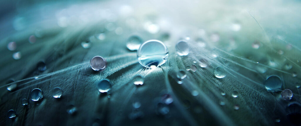 “Serene Ultra-Wide 4K HD Wallpaper with Water Droplets & Feather Texture”