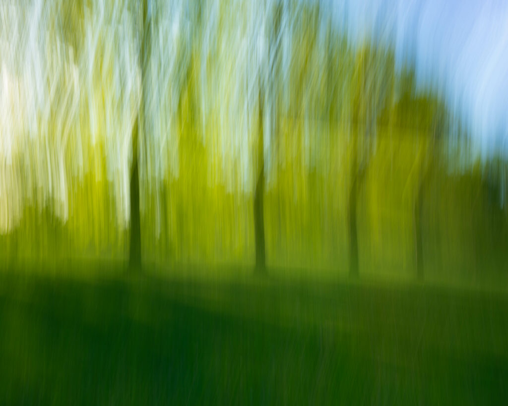 Impressionistic Green Forest Wallpaper: Soft Focus Tranquility Art