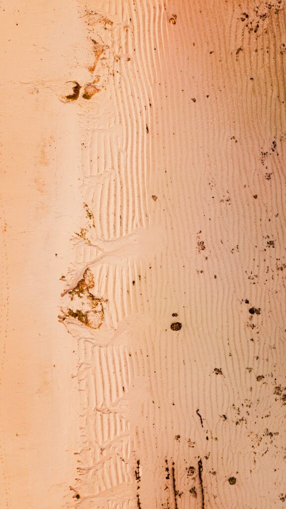 Aerial view of tranquil beach with golden sand waves seaweed under warm sunlight wallpaper background
