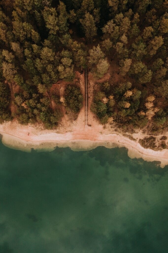 Aerial view of tranquil coastline with lush forest sandy beach and clear turquoise waters wallpaper