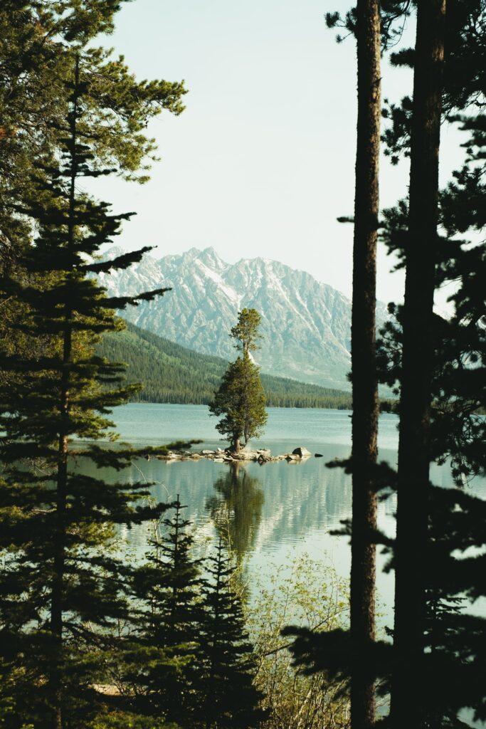 Tranquil alpine lake with spruce trees small island and snow-capped mountains reflecting in water Wallpaper
