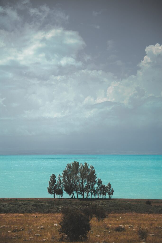 Armenia horizon wallpaper with trees by turquoise sea under soft clouds in calming landscape