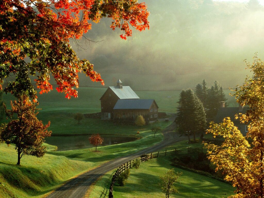 Rustic house by calm lake with golden meadows vibrant autumn trees and soft morning fog Wallpaper