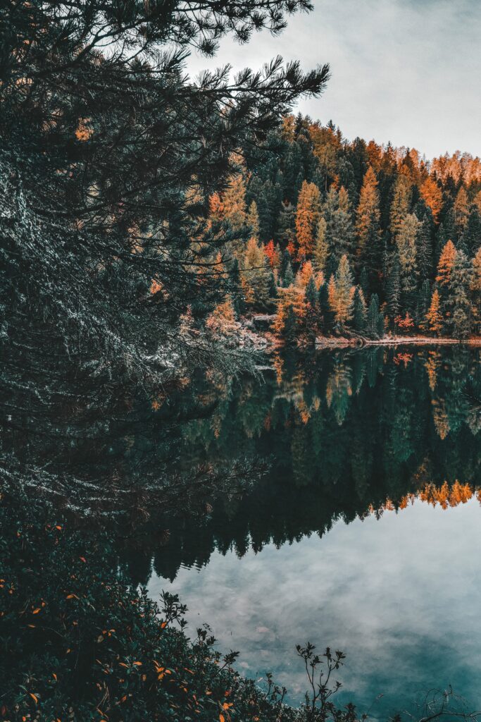 Tranquil autumn forest with vibrant leaves reflected in calm lake water wallpaper background