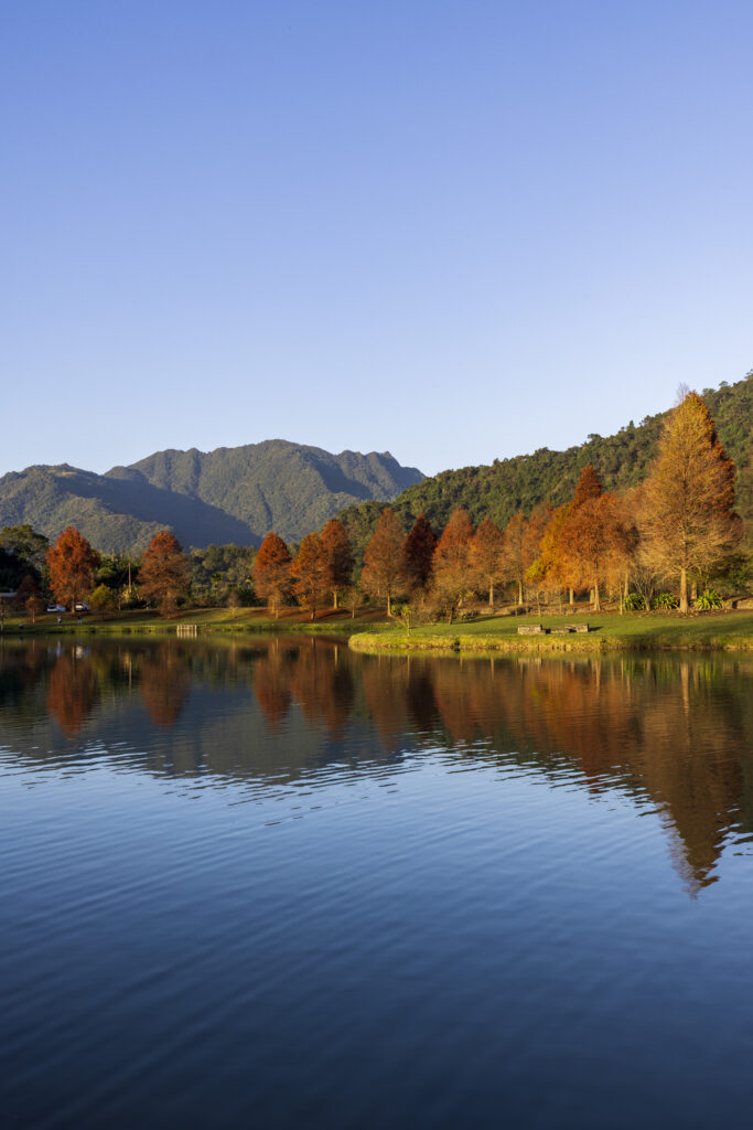 Tranquil autumn forest reflected in calm lake with green mountains and clear blue sky wallpaper