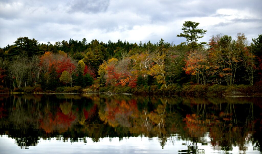 Autumn forest with vibrant red orange yellow leaves reflected on calm lake under cloudy sky Wallpaper