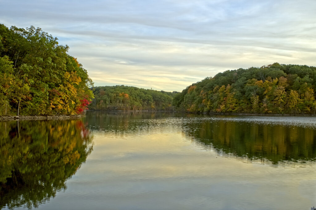 Serene lake with autumn trees reflected in calm water under a soft cloudy sky wallpaper background