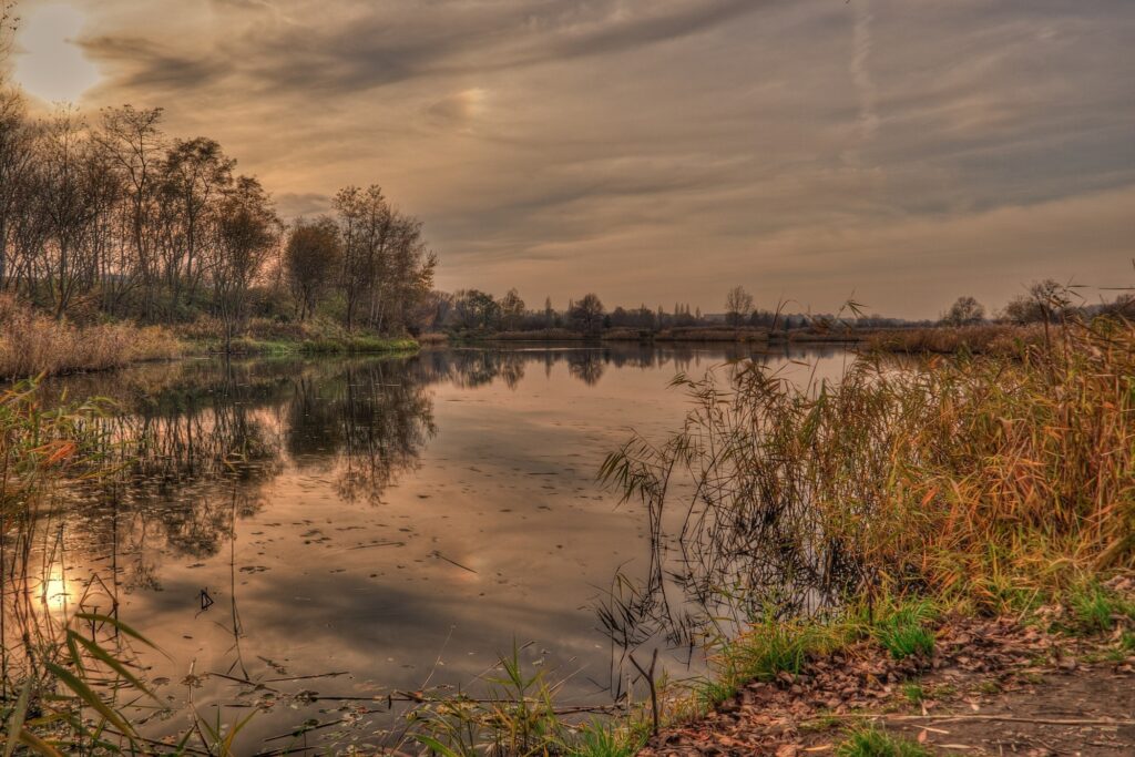 Tranquil autumn landscape with golden trees reflected in calm lake at sunset wallpaper background