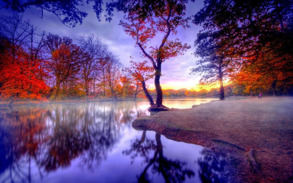 Serene autumn trees reflecting on still lake at sunset with soft mist and colorful sky wallpaper