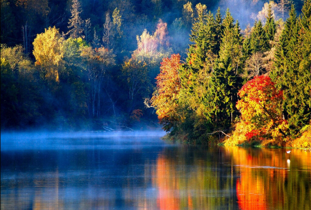 Serene Lake Autumn Wallpaper: Vibrant Trees & Reflective Water