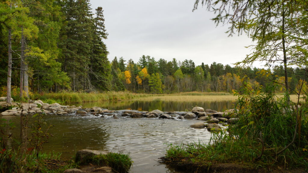 Serene autumn lake with colorful trees lush forest gentle stone barrier and soft water ripples wallpaper