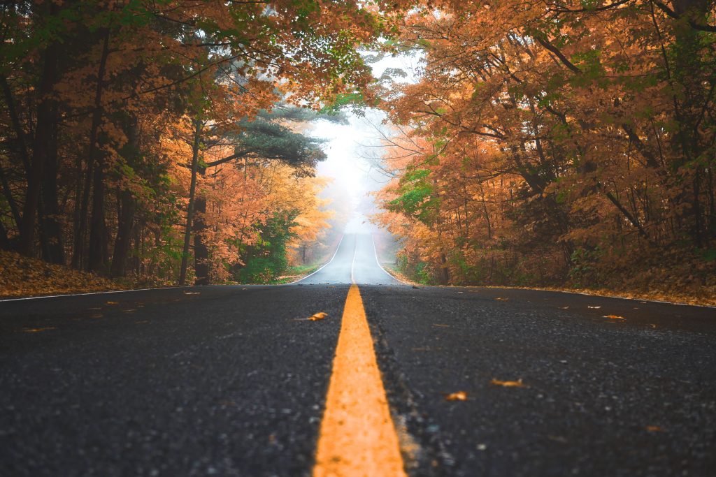 Empty road through vibrant golden autumn trees in misty forest scenic fall drive wallpaper
