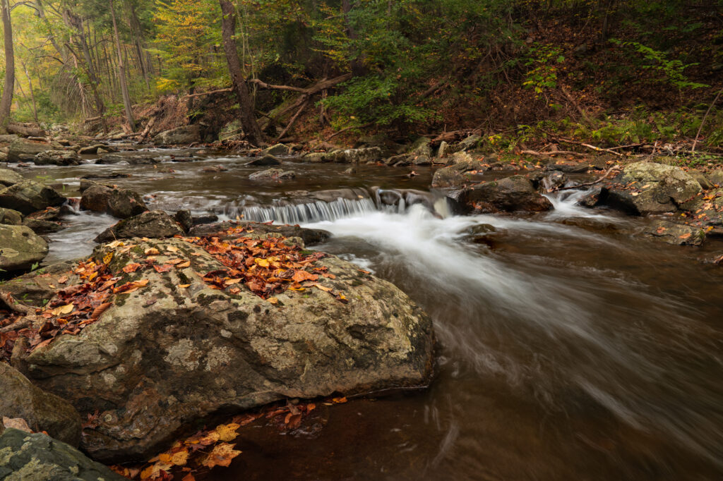 Autumn stream flowing through dense forest with colorful leaves on mossy stones serene landscape Wallpaper