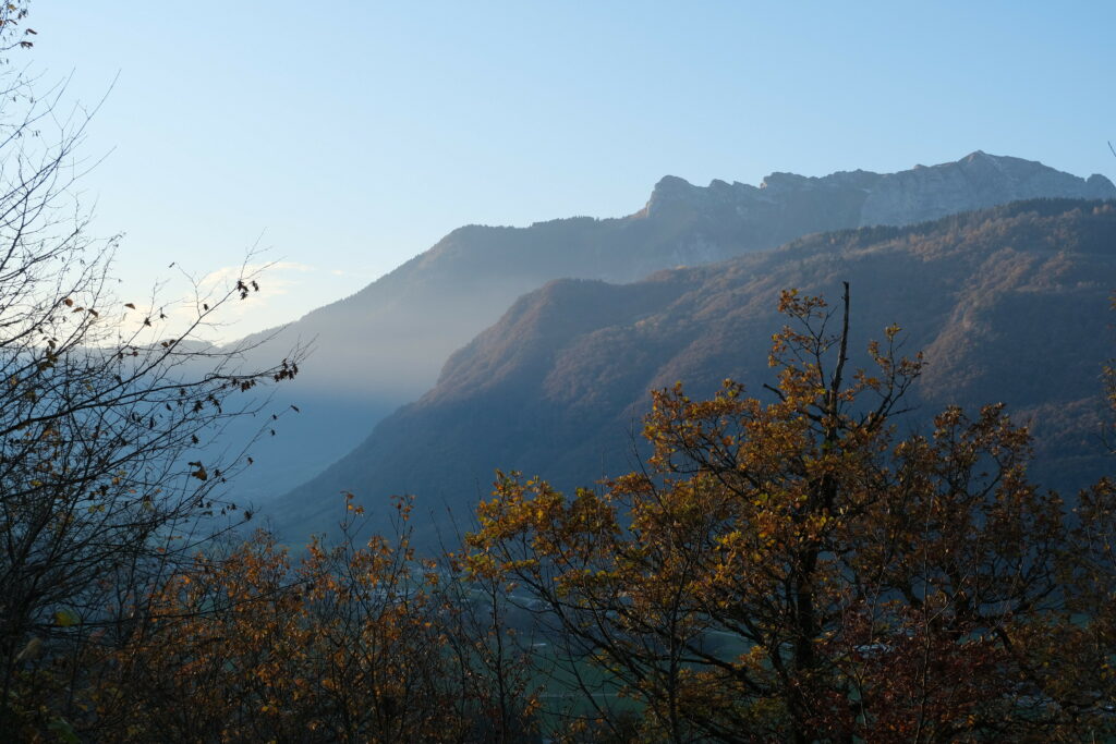 Autumn trees with bare branches and misty mountains under a serene blue sky wallpaper background