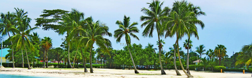 Serene Bahamas Beach Wallpaper: Tranquil Tropical Paradise Background