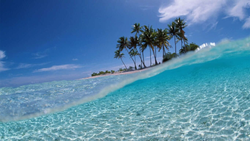 Tranquil Beach Paradise Wallpaper with Turquoise Waters & Lush Palms