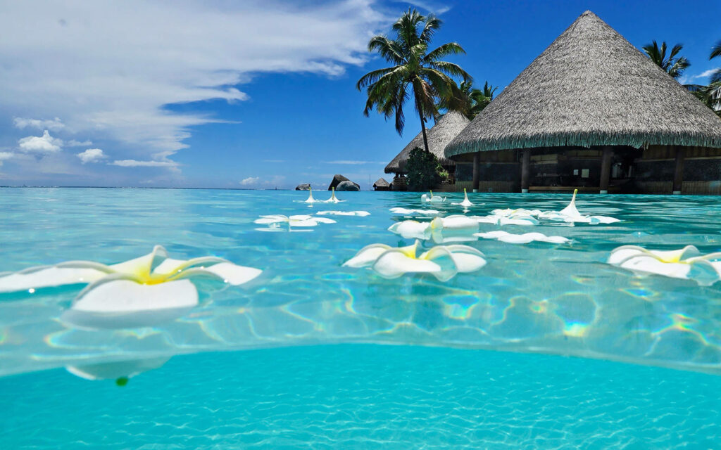 Tranquil Beach Scene with Turquoise Lagoon and Palm Tree Huts Wallpaper