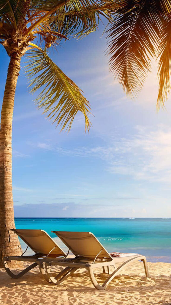 Tranquil Beach Wallpaper: Lounge Chairs & Palm Tree Scene