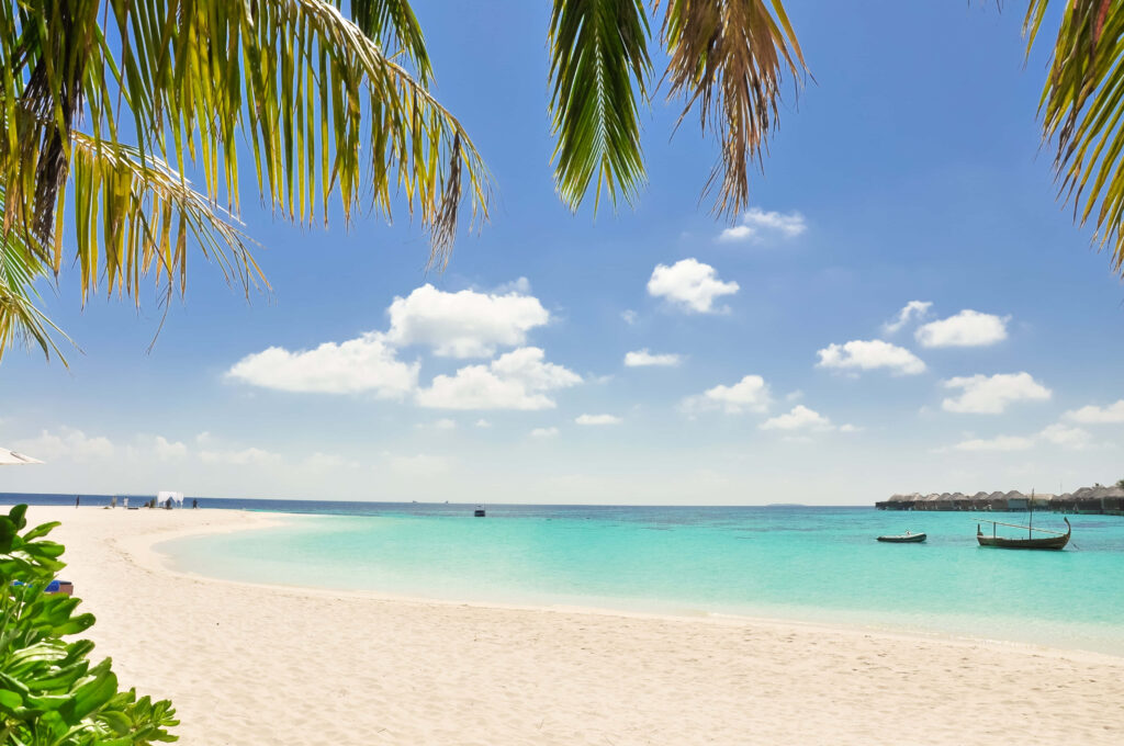 Tranquil Beach Wallpaper: Pristine Sand & Turquoise Waters