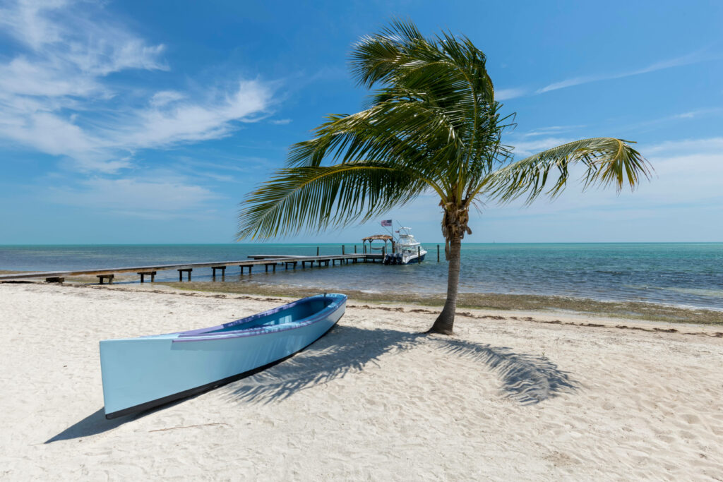 Tranquil Beach Wallpaper: Canoe, Palm Tree & Azure Sea Scene