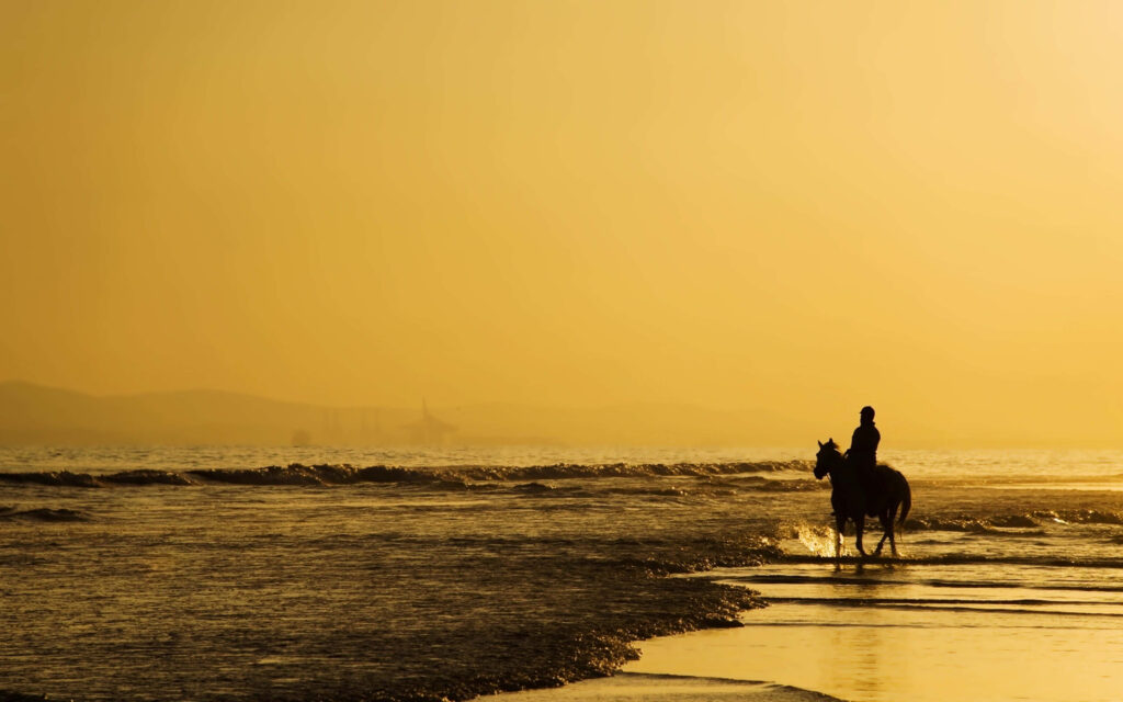 Silhouette of Rider on Horse at Sunset Beach with Golden Hues Wallpaper