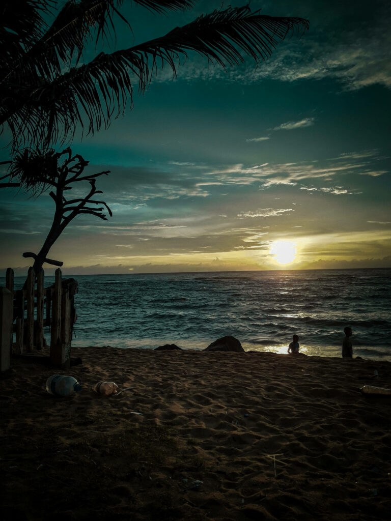 Tranquil Beach Sunset Wallpaper: Serene Ocean & Palm Silhouettes