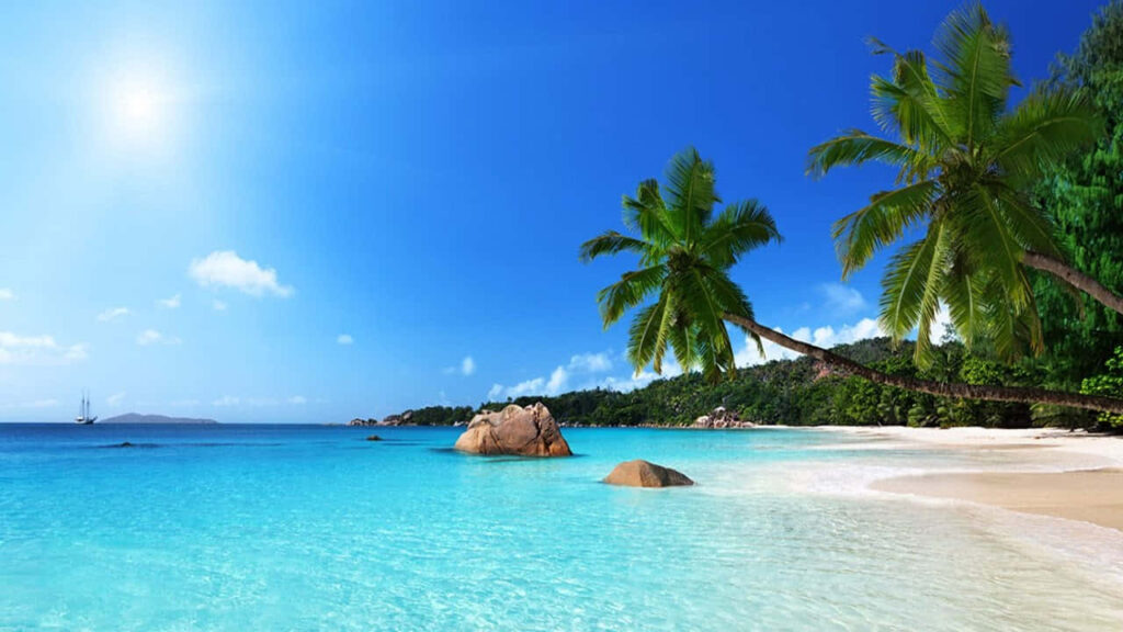 Tranquil Beach Scene Wallpaper: Calm Waters & Swaying Palm Trees