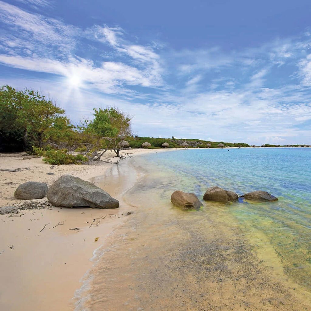 Tranquil Beachscape Wallpaper: Clear Waters & Lush Greenery