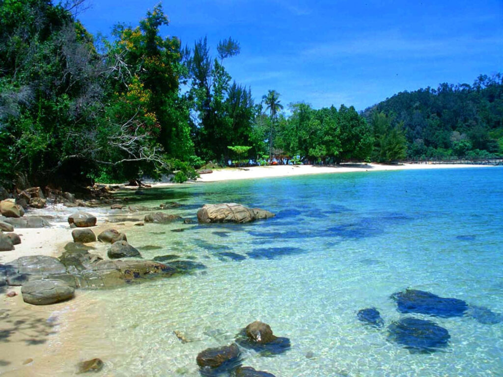 Tranquil Beach Oasis: Crystal-Clear Waters & Lush Green Foliage Wallpaper