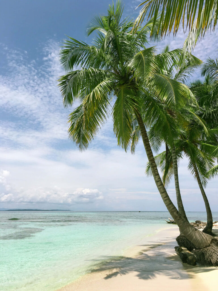 Tranquil Beach Escape: Crystal-Clear Waters & Palm Trees Wallpaper