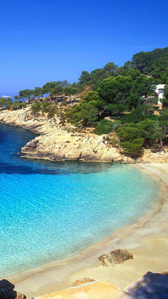Tranquil Beach Wallpaper: Crystal-Clear Waters & Lush Greenery