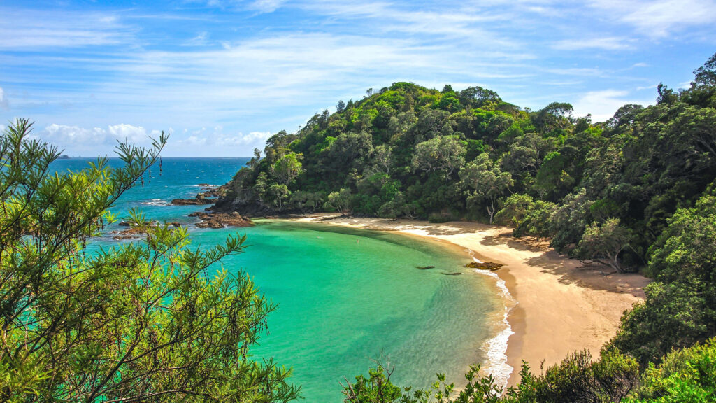 Tranquil Beach Escape: Lush Greens & Turquoise Waters Wallpaper