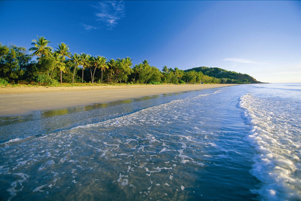Tranquil Beach Wallpaper: Port Douglas Ocean View & Palm Trees