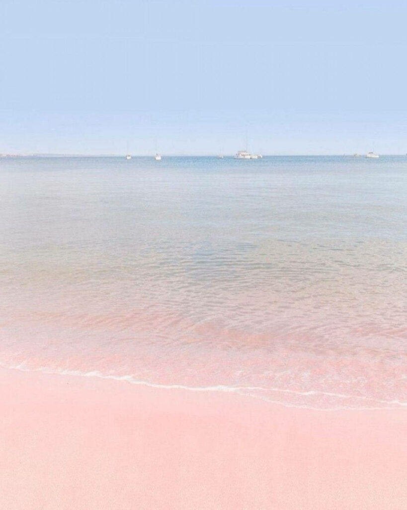 Serene Beach Scene Wallpaper: Soft Pink Sand & Calm Blue Ocean