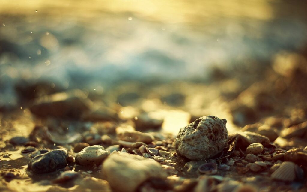 Tranquil Beach Wallpaper: Close-Up of Stones & Shells at Sunset