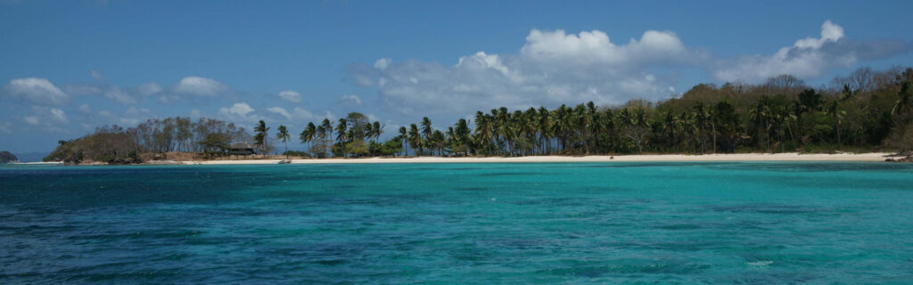 Tranquil Beach Wallpaper for Dual Monitors: Turquoise Waters & Palm Trees