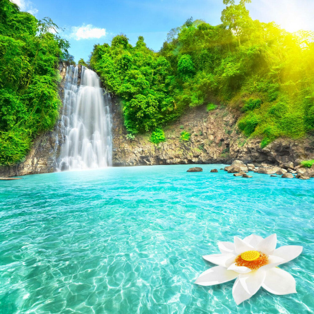 Serene Blue Waterfall Wallpaper with Lotus and Lush Greenery