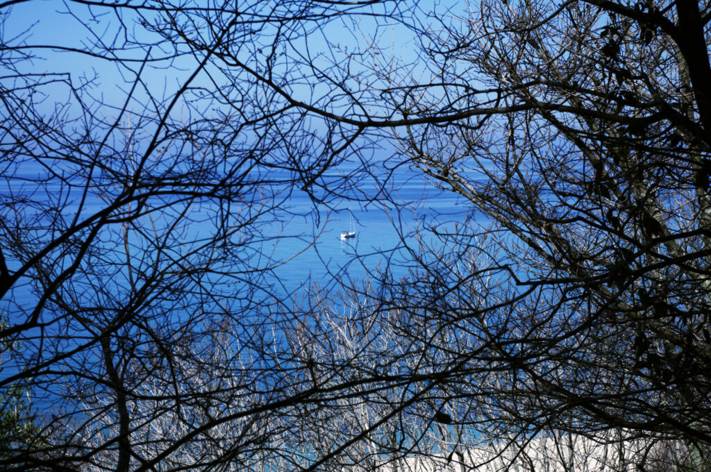Lone boat on calm blue water seen through bare tree branches peaceful nature wallpaper background