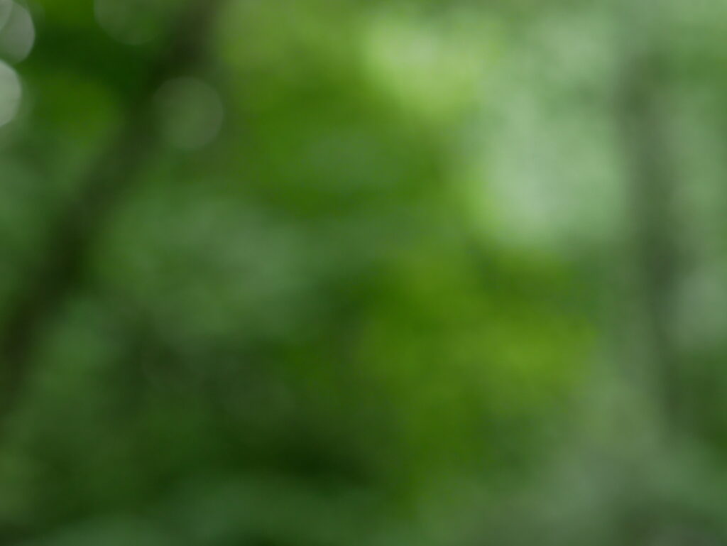 Tranquil Blurred Green Abstract Wallpaper for Serene Device Background